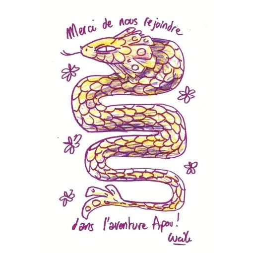 APOU SHINY – un jeu de Gilles Beaumé illustré par Lucile Mathieu - un jeu de cartes familial plein de malice et de stratégie - Editeur : NO ONE GAMES