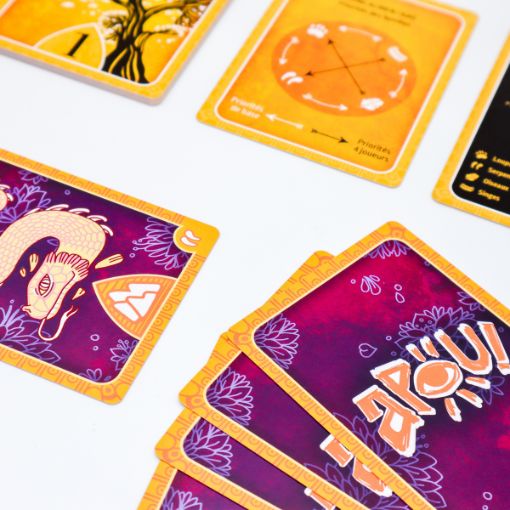 APOU SHINY – un jeu de Gilles Beaumé illustré par Lucile Mathieu - un jeu de cartes familial plein de malice et de stratégie - Editeur : NO ONE GAMES